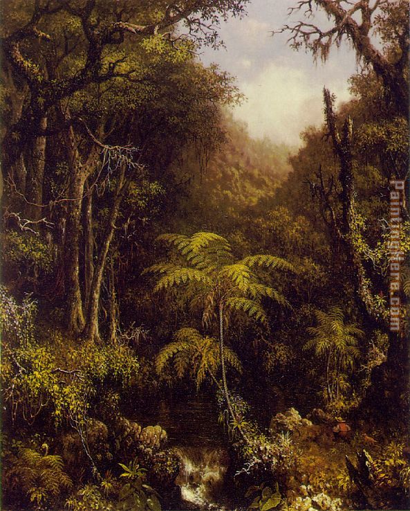 Brazilian Forest painting - Martin Johnson Heade Brazilian Forest art painting